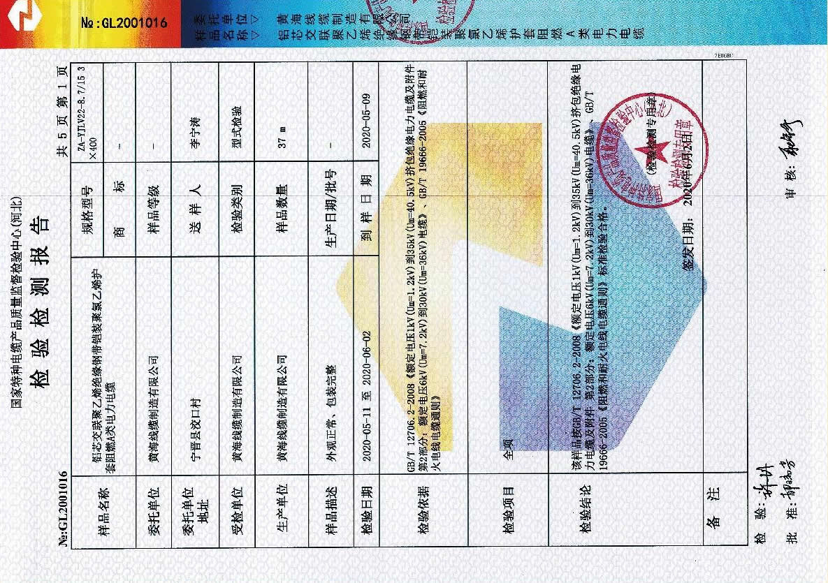 检测报告