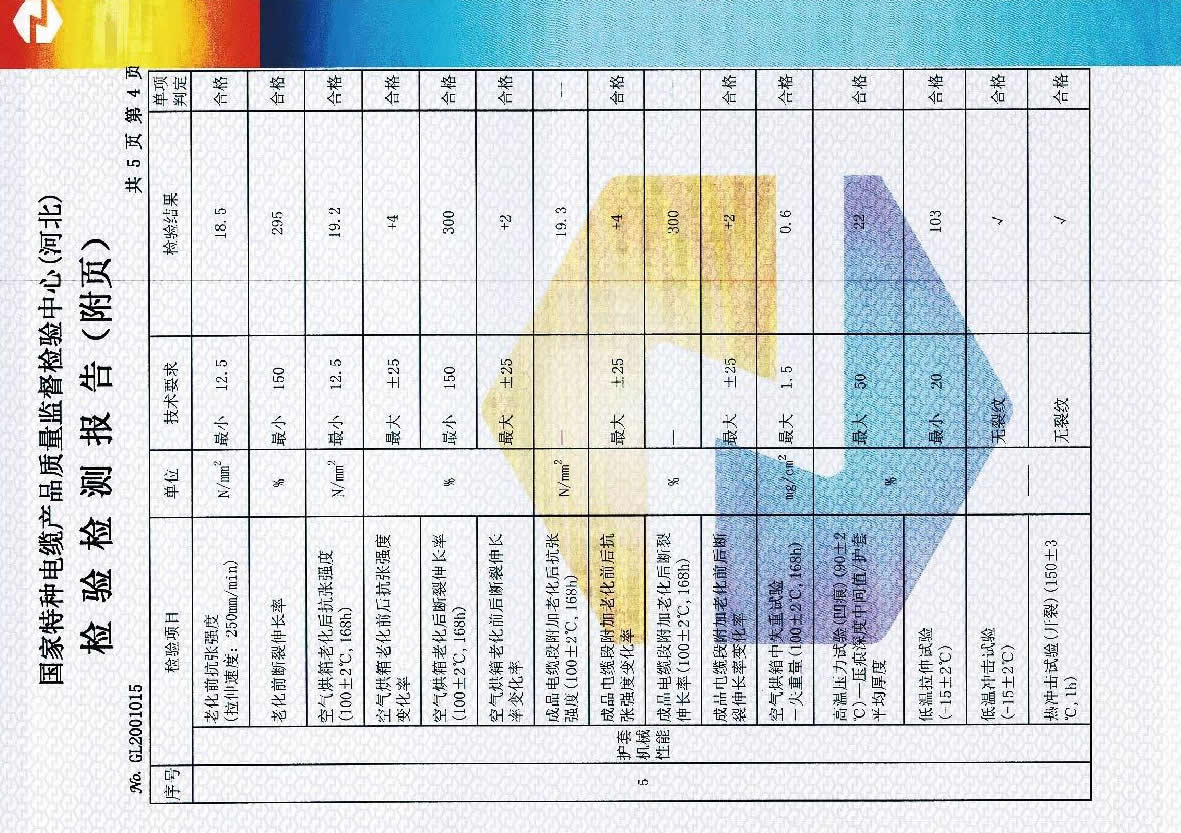 检测报告